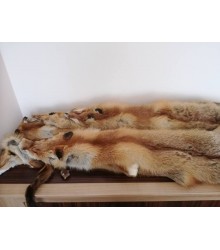 Beautiful natural colour Red Wild Fox furs.