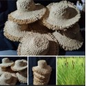 Dunhammer (Typha Latifolia)  Hats